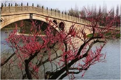 东方绿舟度假村有什么好玩的,东方绿舟附近美食推荐