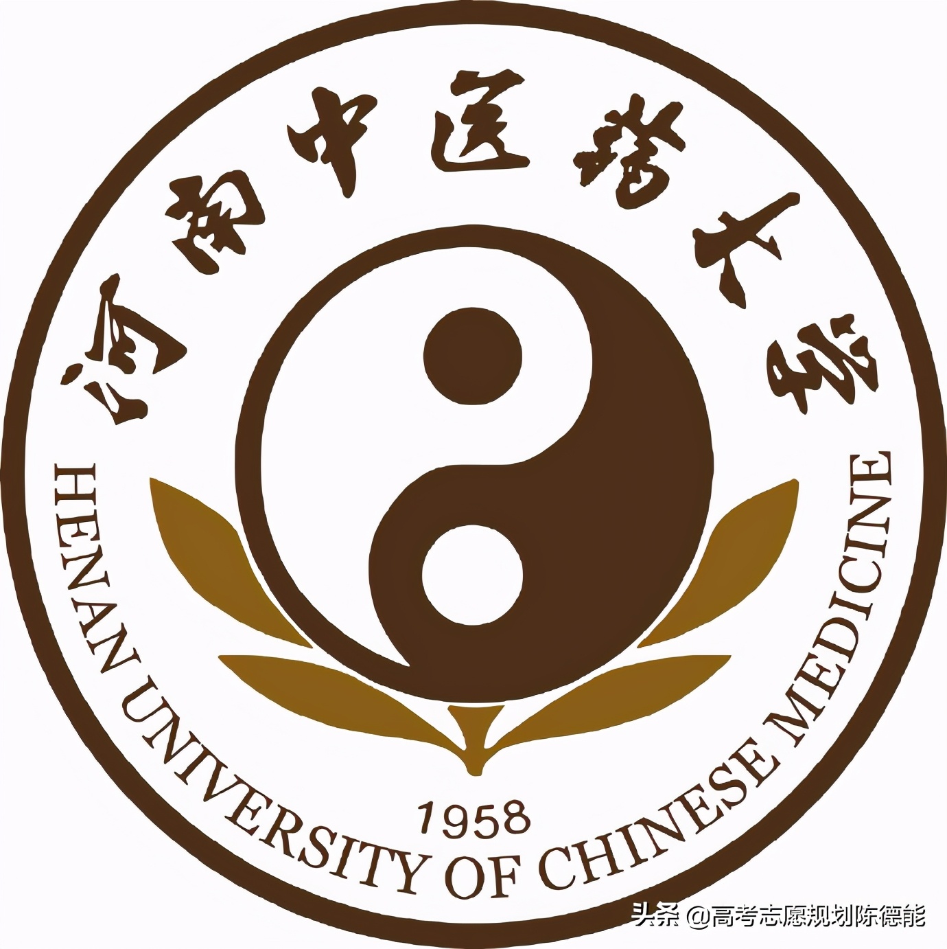 南方医科大学中医学科评估,中医学科排行榜前十名