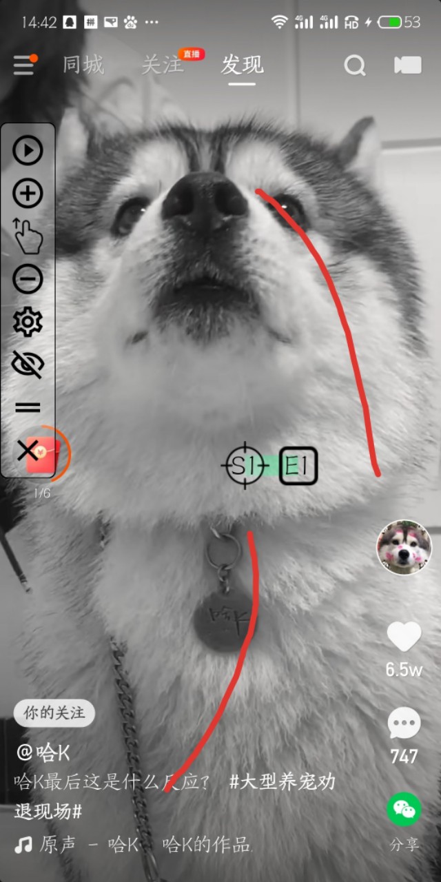 想全自动挂机赚钱吗,进来我教你