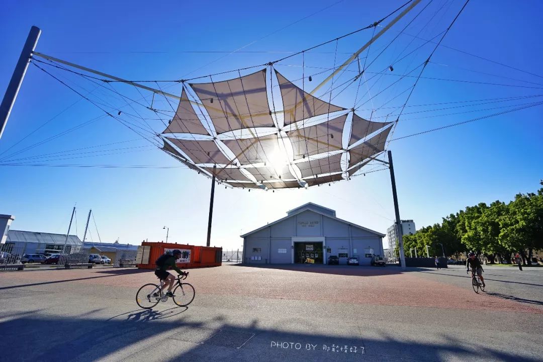 去哪里旅游可以看南极企鹅,旅游攻略南极看企鹅