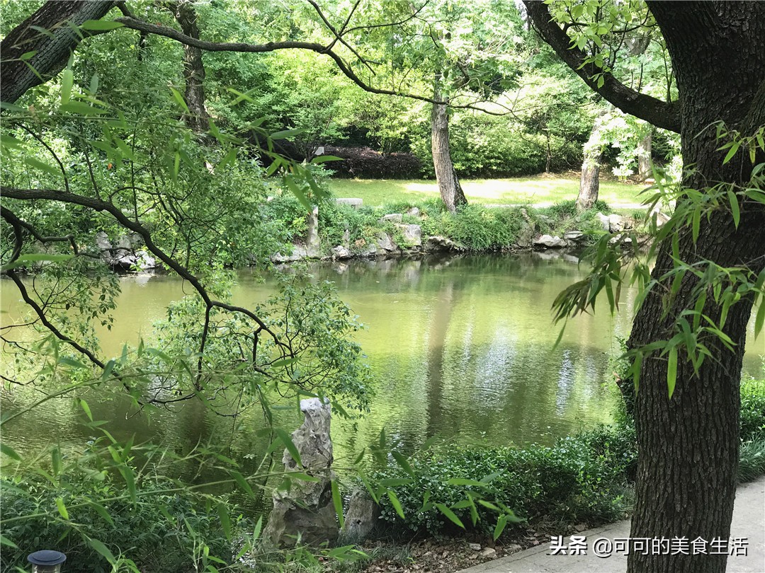 上海崇明岛土鸡,去崇明岛你吃过几道农家菜