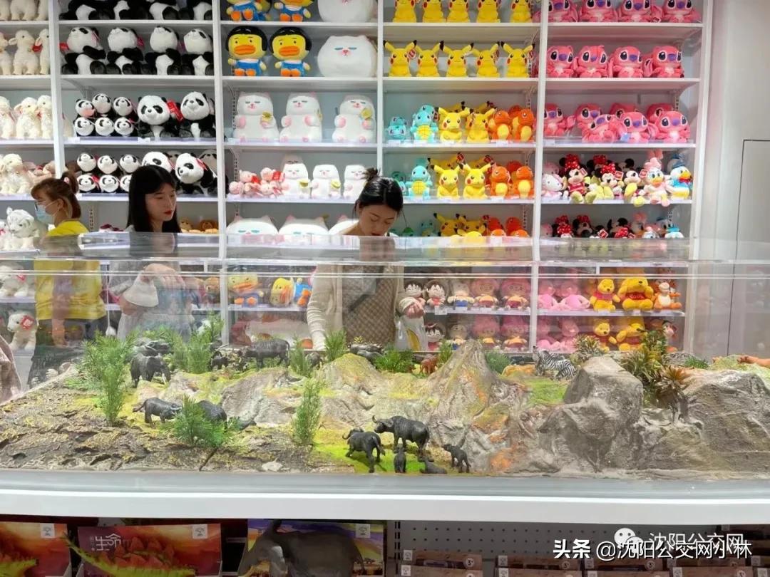 玫瑰大酒店中街,玫瑰大酒店在哪