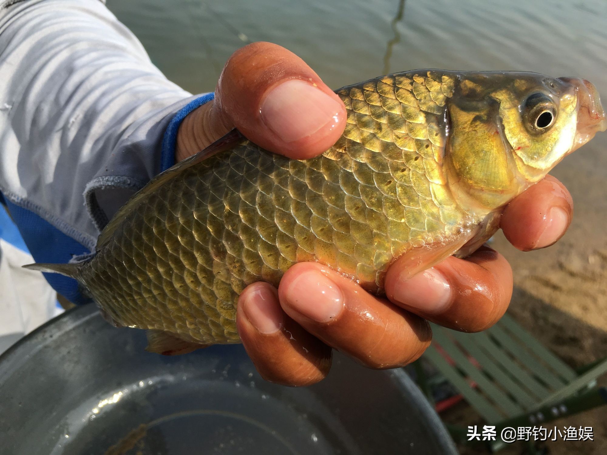 夏季下雨河水上涨水浑如何钓鱼,大河涨水后水浑如何钓鱼