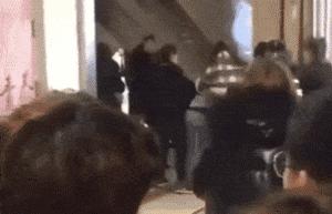 一只猫爪杯,让平静的江湖又掀起了一阵腥风血雨