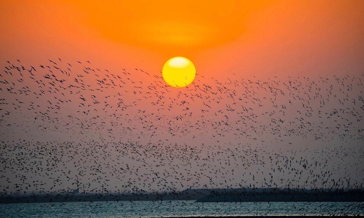 浠庡崡娴蜂箣婊ㄥ埌鍖楀浗闆師,浠庡崡鐤嗗埌鍖楃枂