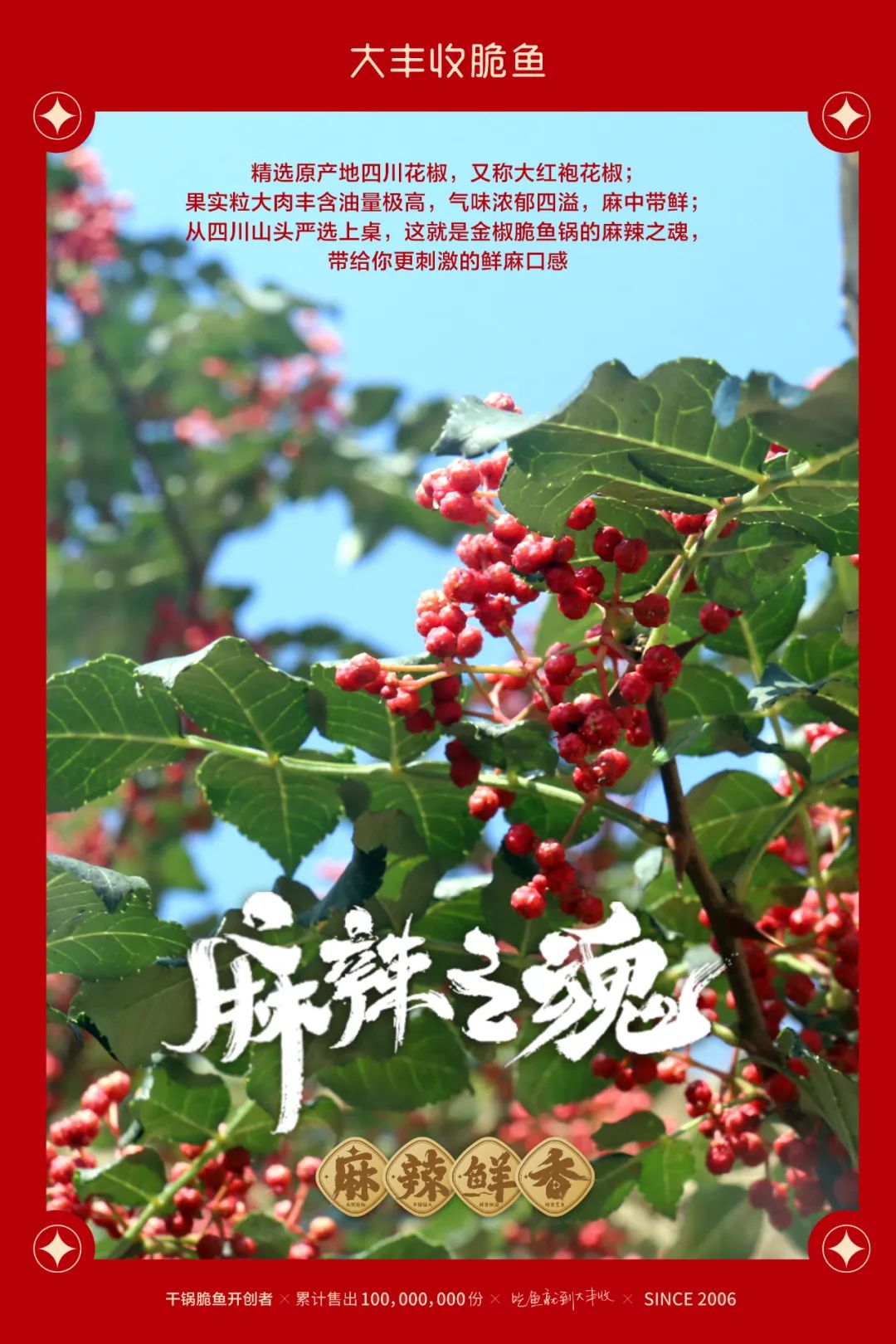 厨师出身，大丰收副总裁王振舟讲述16年餐饮品牌的背后“风云”