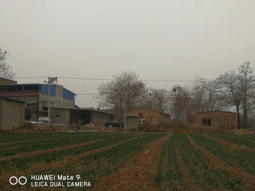 三农乡村振兴陕西,富平乡村振兴