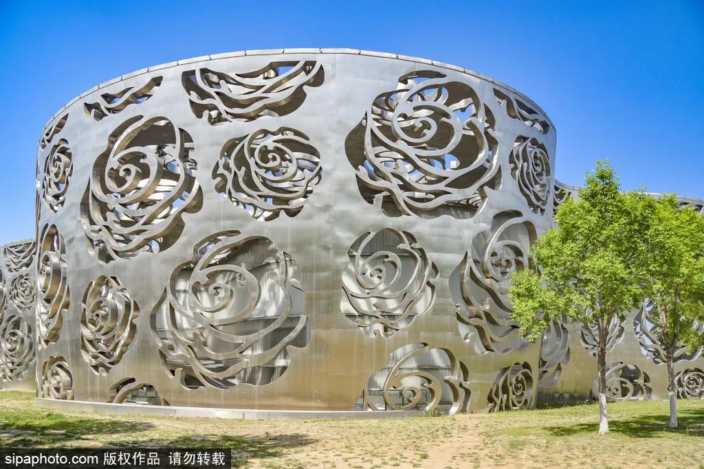 全球最美十大花海美到令人心醉,全球最漂亮花海