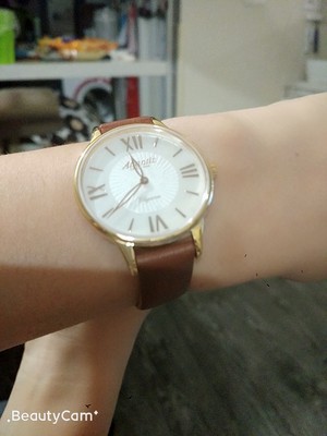 正品瑞士手表的鉴别方法,十大最佳入门瑞士机械表