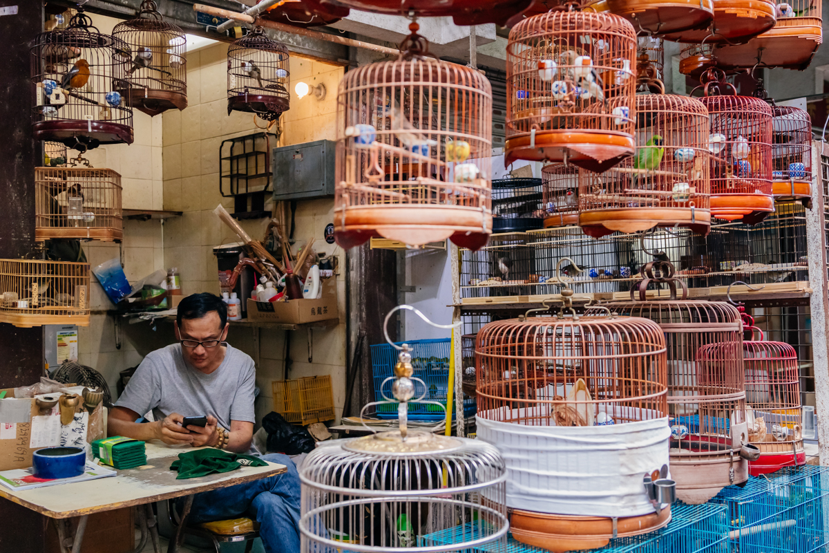 eosm6入门级相机,佳能微单m6样张