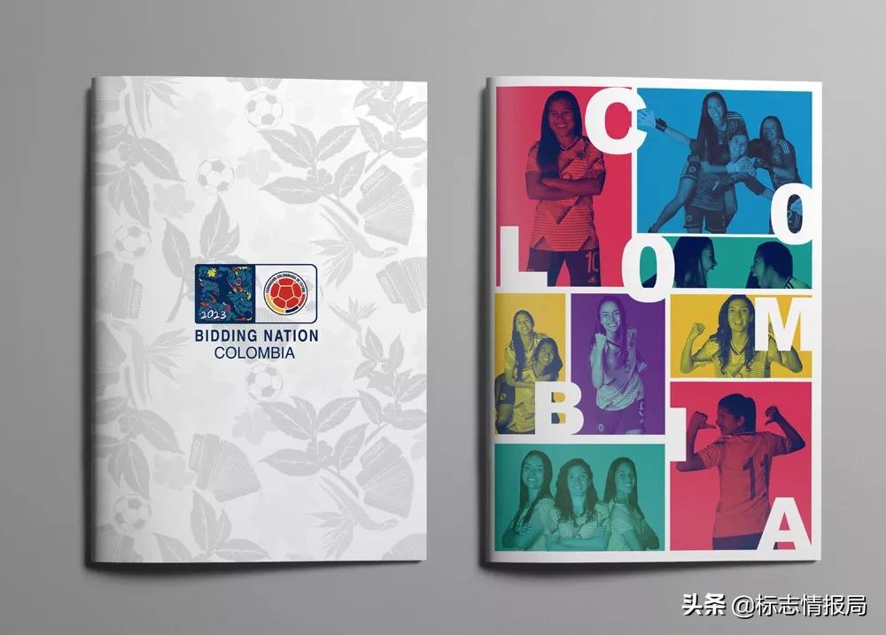 申办2023女足世界杯,女足世界杯申办城市