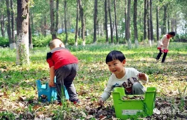 从零开始打造一个优质亲子农庄,从亏损近2亿到盈利35亿的逆袭