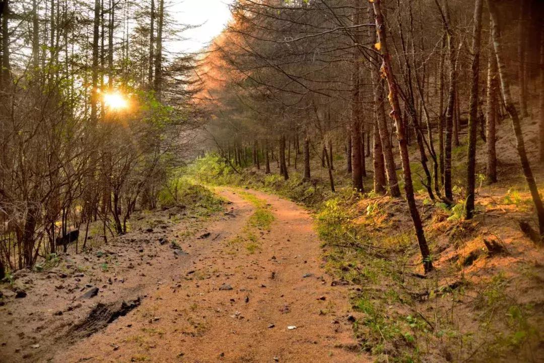 如果有一天累了就回老家到处走走,如果有一天累了就回来吧