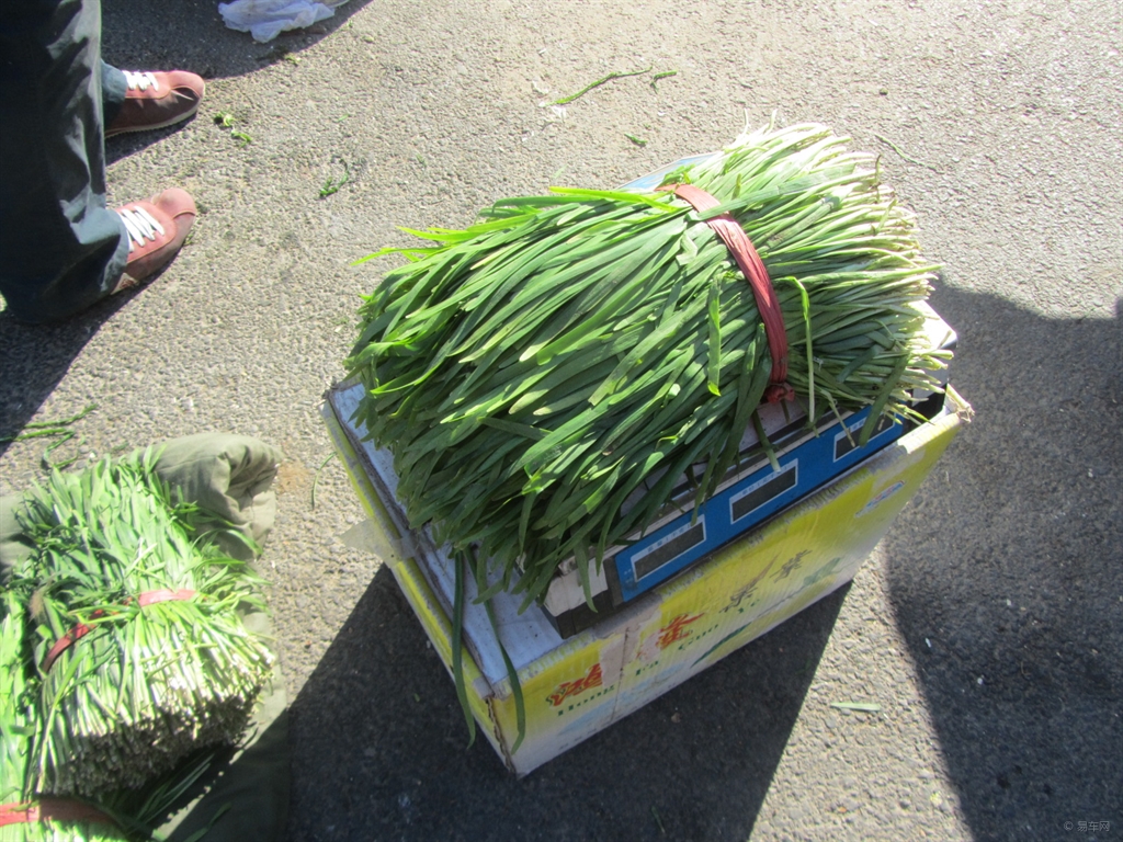 这几种菜再便宜也不要买,韭菜别乱买记住这几点又嫩又新鲜