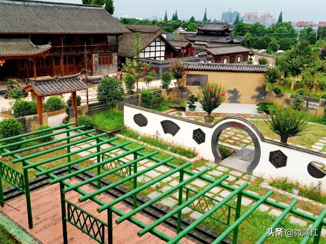 探访深山竹林倍感神清气爽,蒲江遥望雪山感受诗意栖居