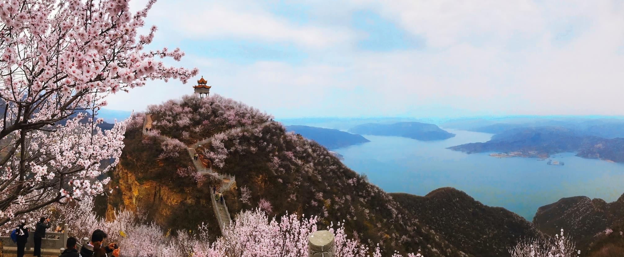洛阳荆紫仙山赏桃花,洛阳新安荆紫仙山景区桃花