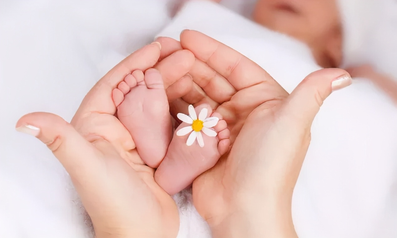 我的卵子这么少，如何抓准时机取到好卵子？