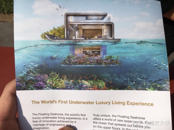 有什么你去迪拜才知道的事情,有什么你去了南通才知道的