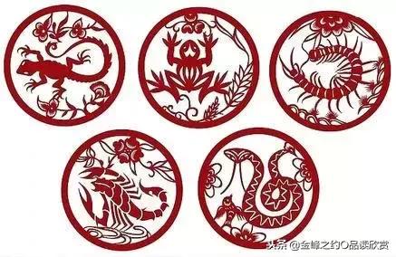 中华上下5000年经典历史故事视频,一口气讲完中华上下5000年历史