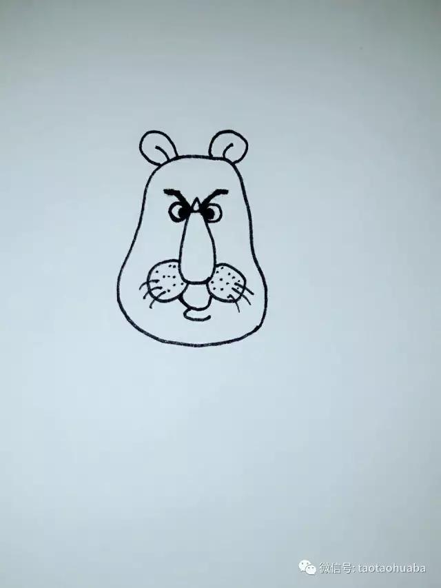 可爱的大狮子,美丽的大狮子