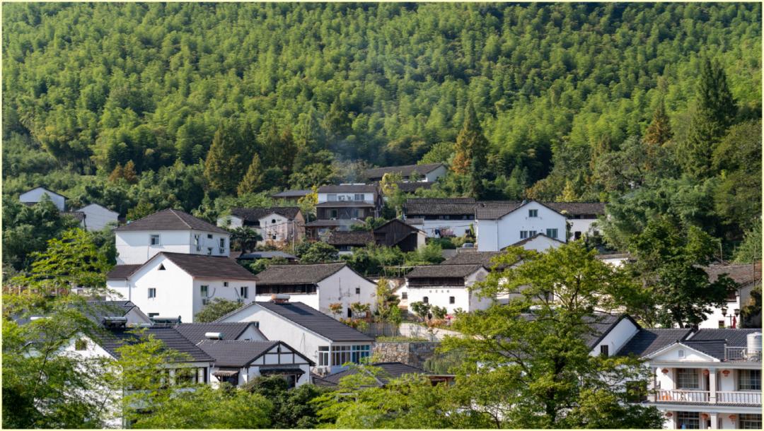 欢呼!余杭9条精品旅游线出炉!瓶窑、塘栖、中泰...太惊艳了!