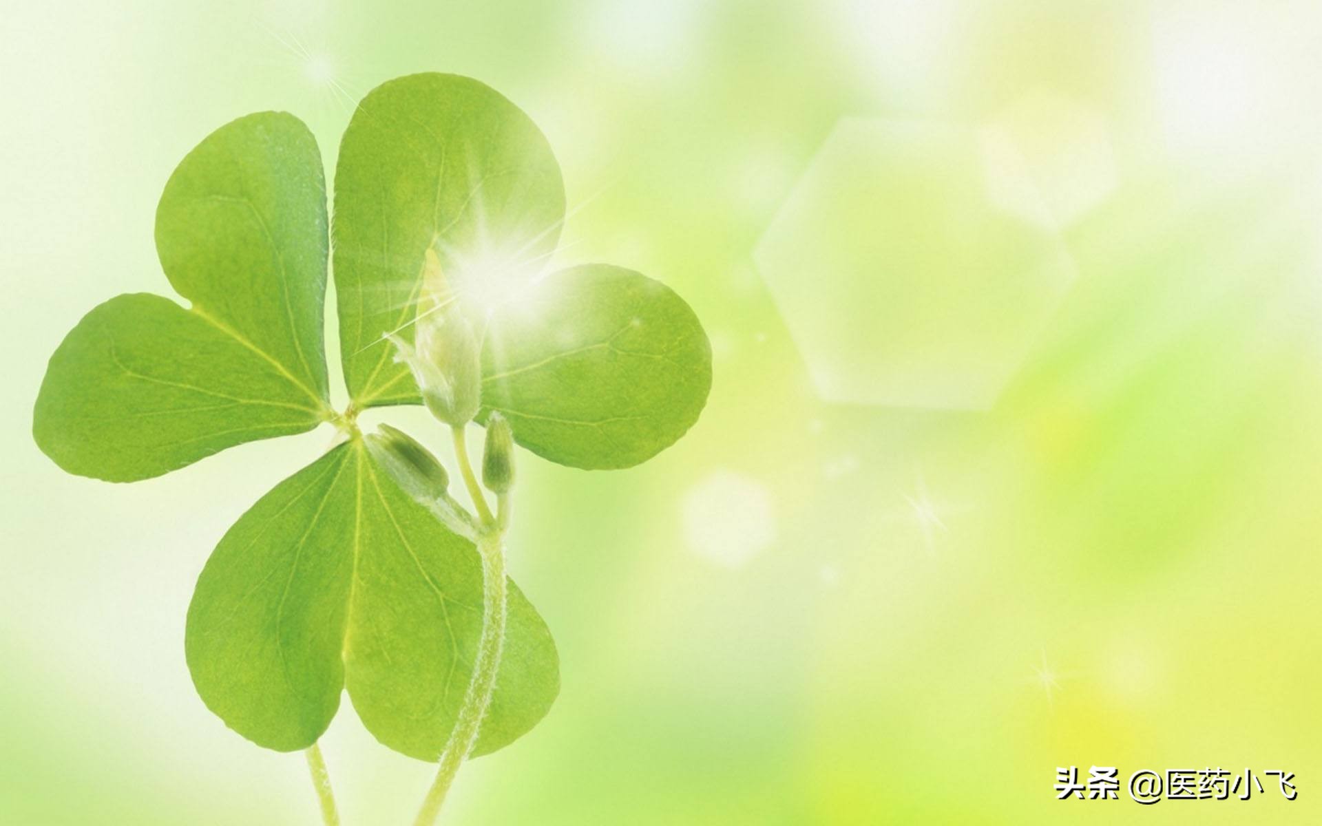 每日医药,每天一片地塞米松