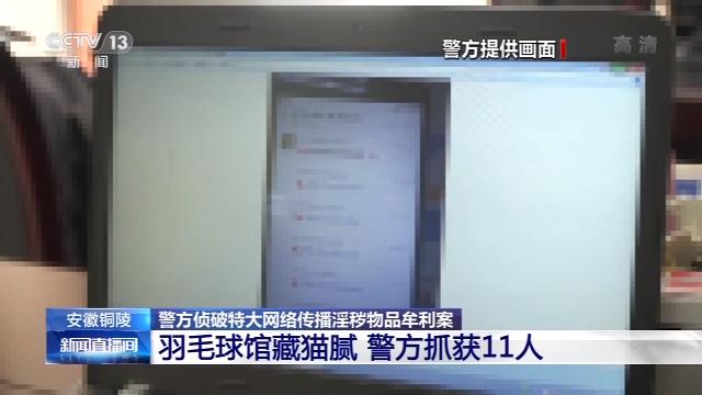 淫秽视频牟利罪跨省抓人判几年,上传淫秽视频盈利1000元怎么定罪