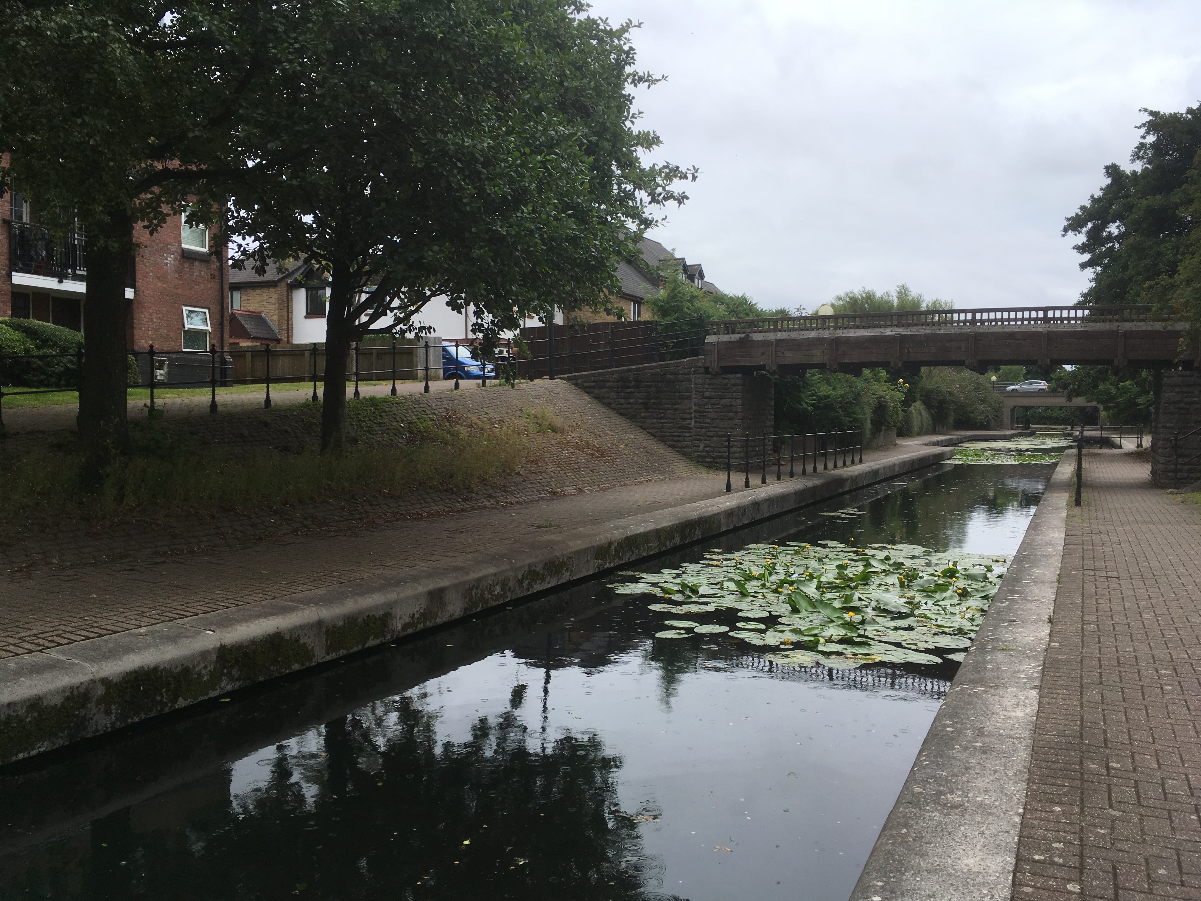 万水千山遇见你,万水千山与你相遇dj