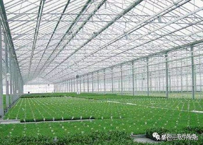 冬季怎样给大棚增温,冬天大棚增温措施有哪些