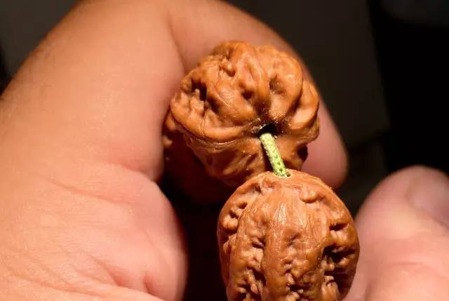 怎样挑选小尺寸文玩核桃,小核桃手串怎么挑选