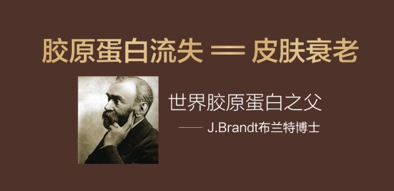 柏氏胶原蛋白使用顺序,柏氏胶原蛋白抗皱原液