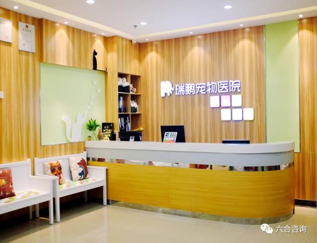 *合六**君3周岁生日，TOP60篇经典研报重磅推荐