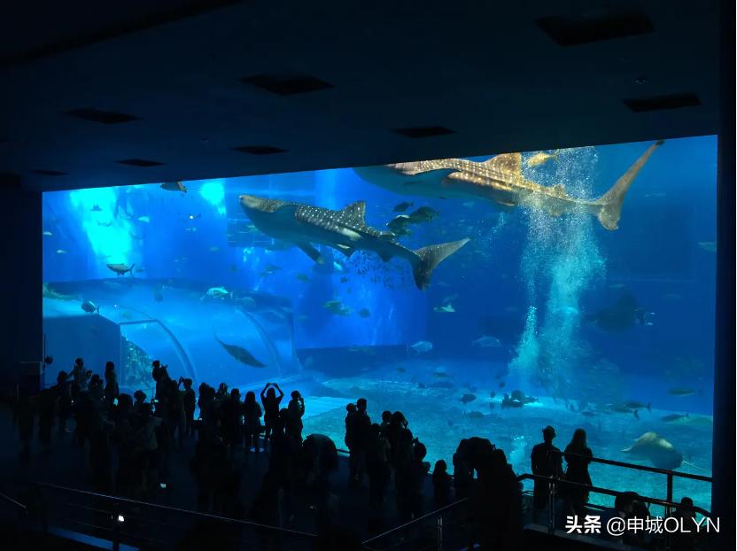 日本冲绳三年旅游签证办理攻略,日本单次旅游签证冲绳