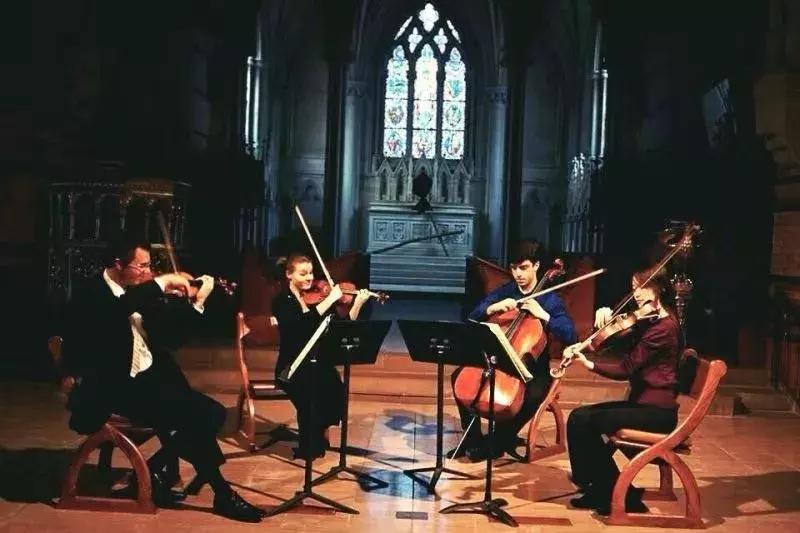 人物Salon｜旅美中提琴家刘爽爽：做无可替代的绿叶