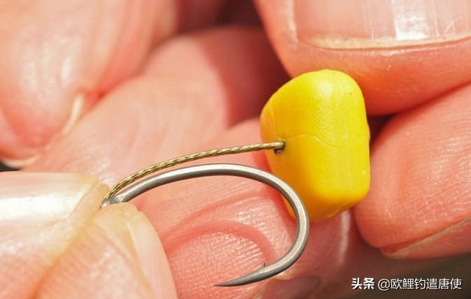 钓鱼也是一种技术,科学钓鱼的基本原理