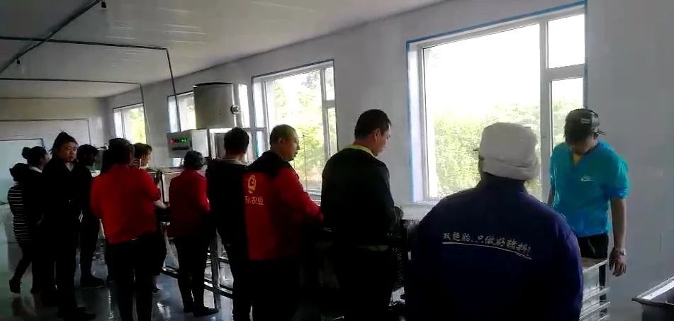 豆腐制作中水质的影响,豆腐加工的工艺有哪些