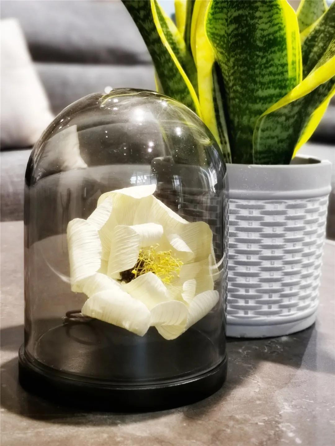 从10平方米的楼梯间花店，到130平方米的花园花店，为何她俩做得这么火？