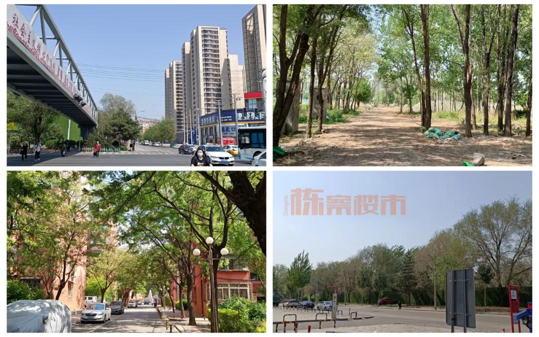 三台子房子值得买吗,三台子房价二手房