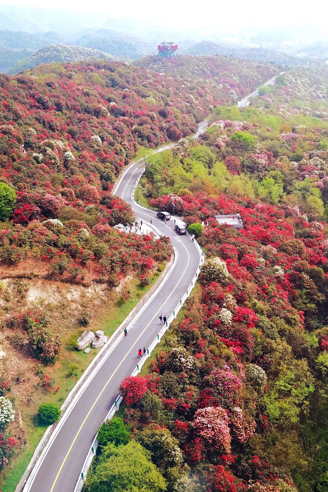 贵州有好多景点,贵州今年比较火的景点