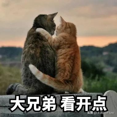 为什么安徽看上去像三个地方,安徽为什么分为三个地域