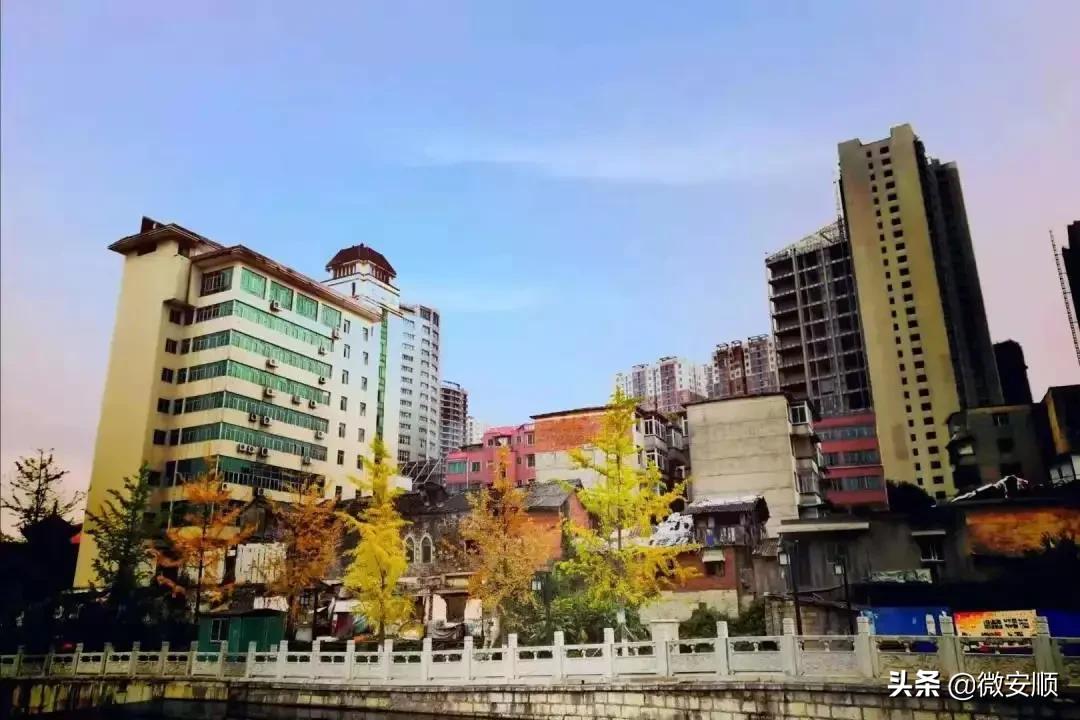 你好！我叫安顺，这是我2021最新简历