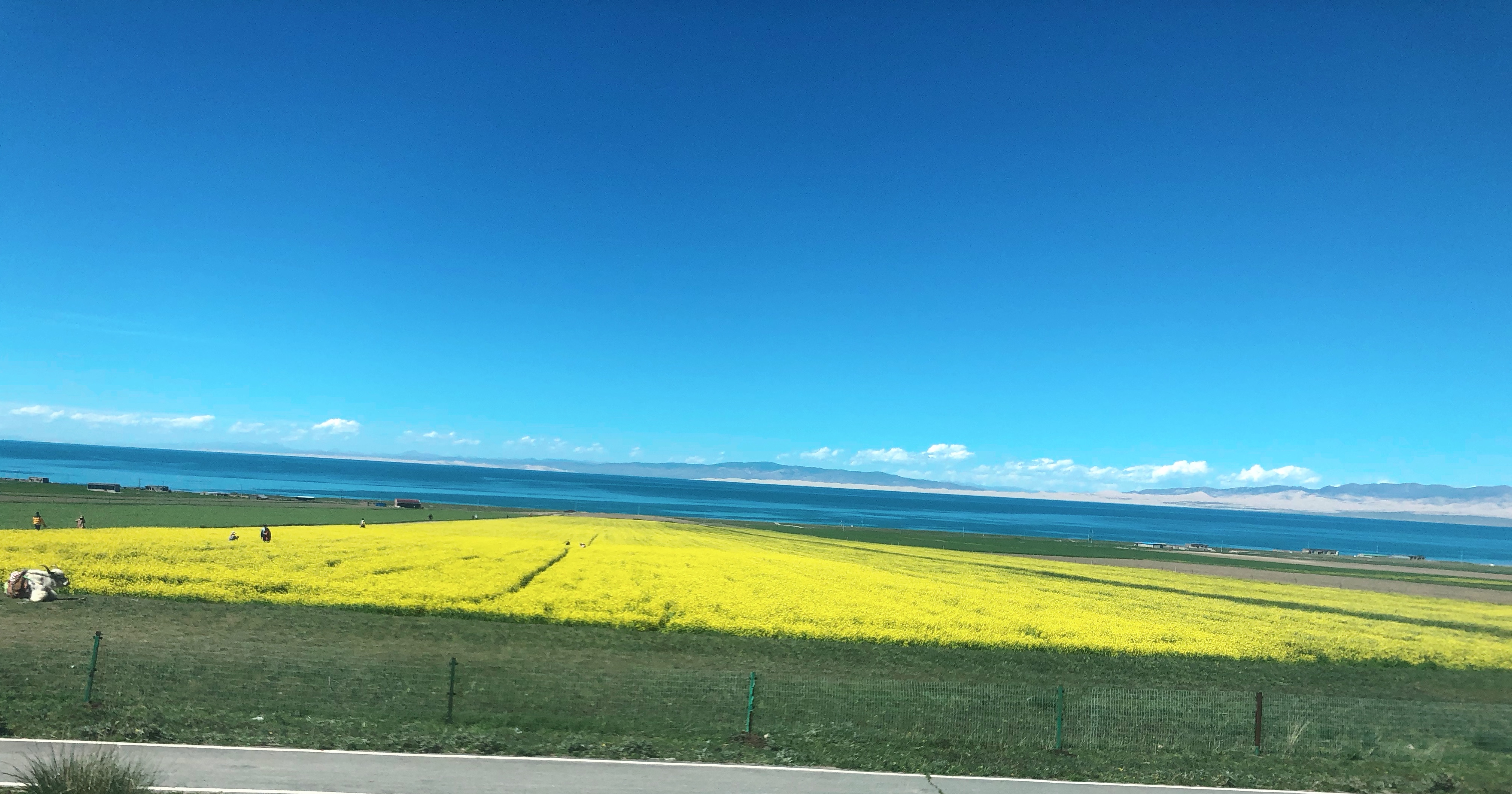成都到茶卡自驾七天,成都到青海湖茶卡盐湖路线怎么走
