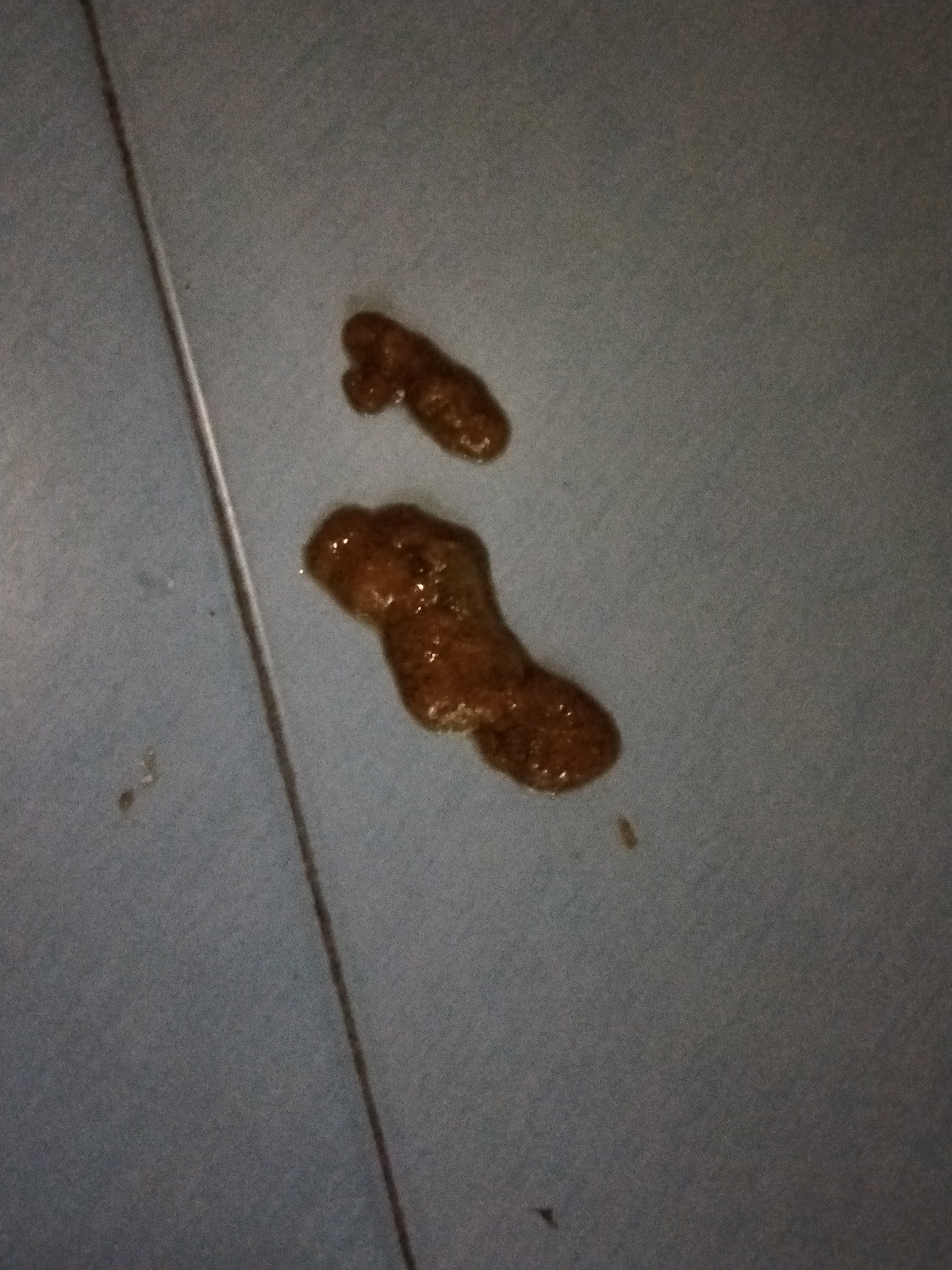 45天左右猫咪软便怎么可以好,头疼猫咪