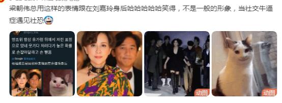 被误认为香港明星的内地明星,被误认为是香港人的10位内地明星