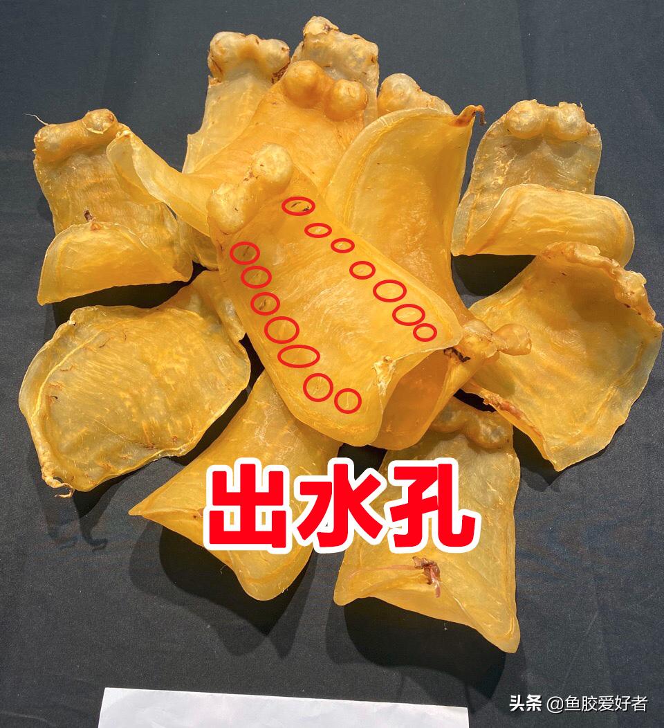 鳘鱼胶有哪些品种,赤嘴鱼胶哪个品种比较补血