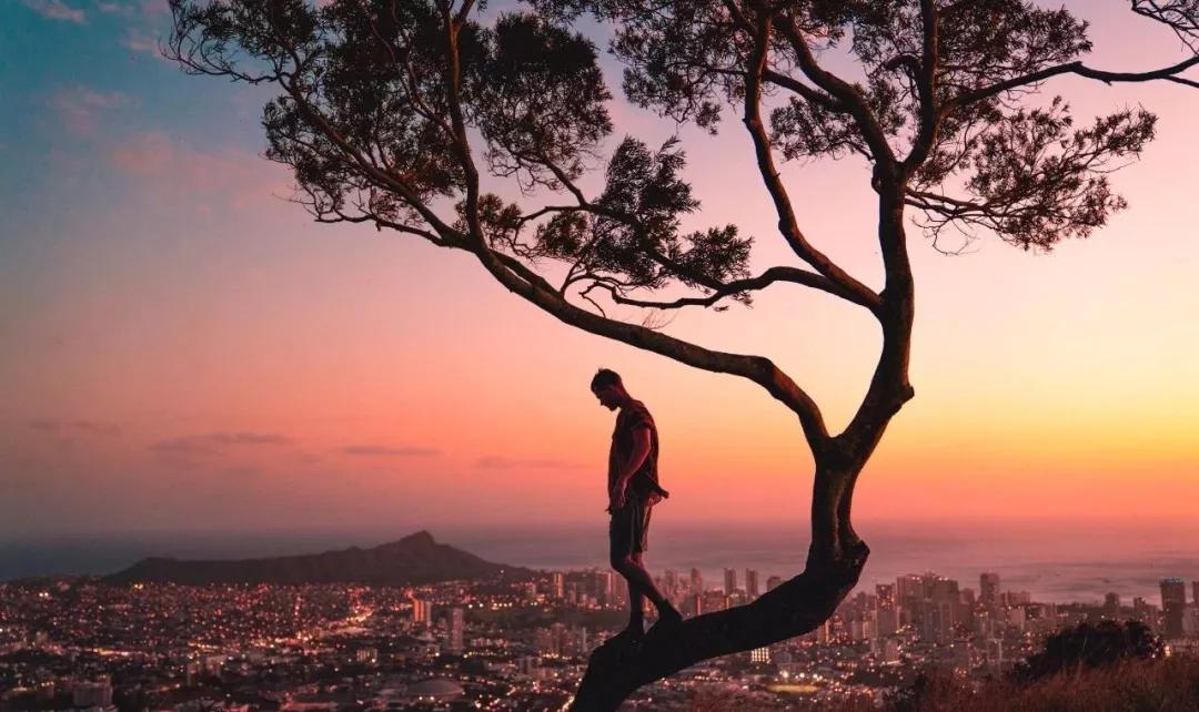 武汉疫情下蜗居在家的14亿人:找回IC的家,是动荡2020真正的邀请