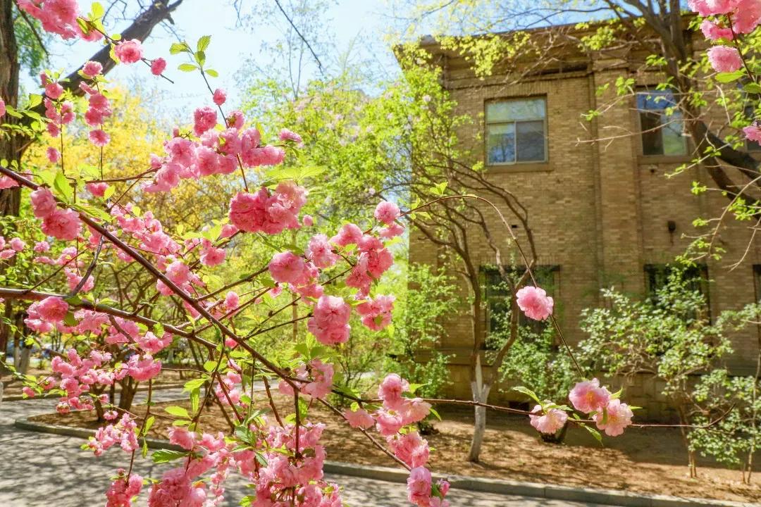 辽宁大学和鲁迅美术学院,辽宁省鲁迅美术学院是985吗