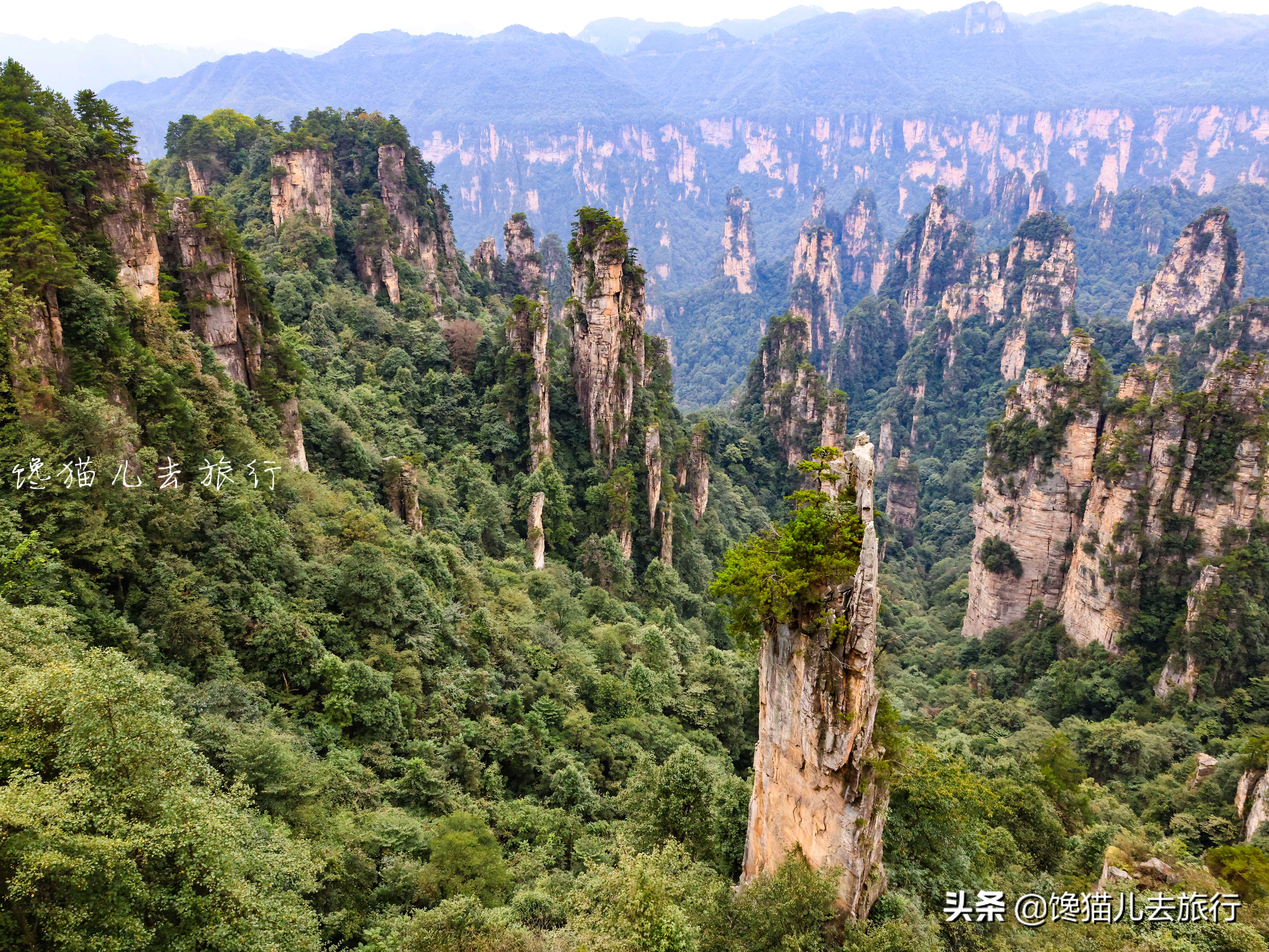 张家界旅游计划行程表模板,暑假旅游张家界攻略路线图简单版