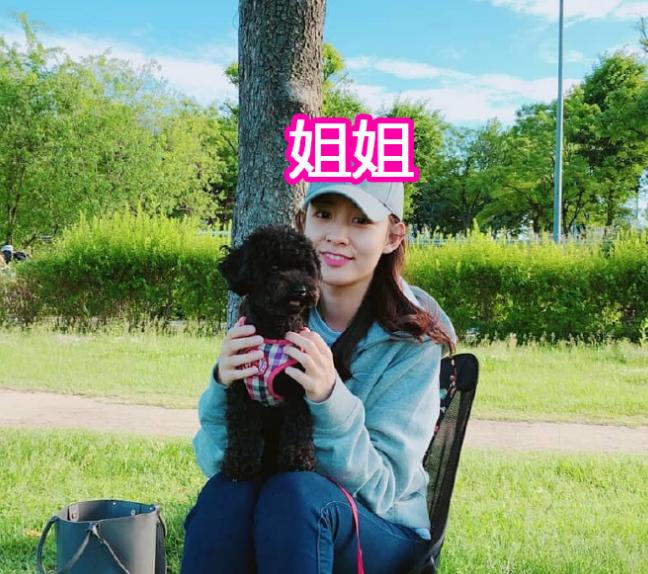 朴灿烈的多芬,多芬vivi吴世勋朴灿烈