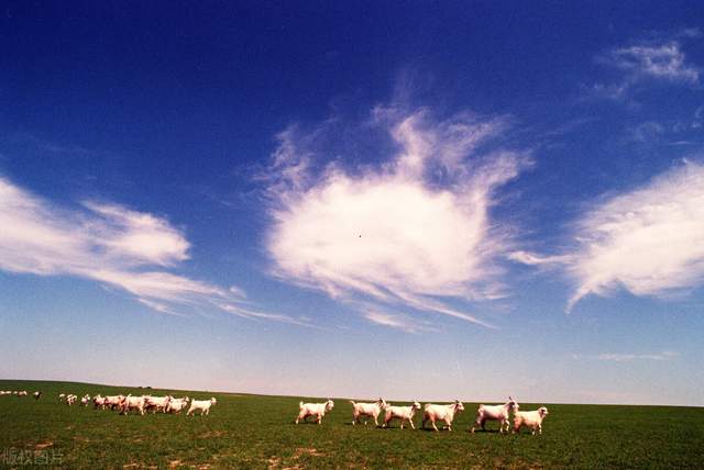 夏日来内蒙古寻觅一处清凉 (去内蒙古感受大草原的浪漫)